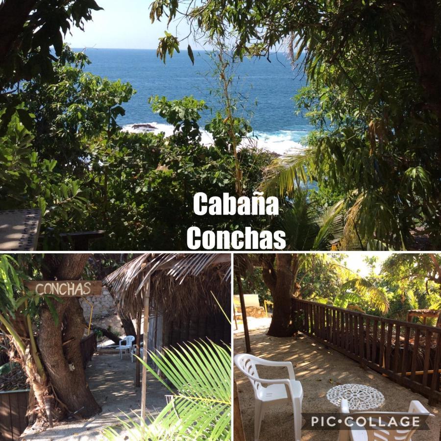 Donde Mira El Sol, Promo Primavera Hasta 50 Por Ciento (Adults Only) أكابولكو المظهر الخارجي الصورة